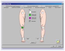 lsw下肢損傷計算軟體(lsw-lower-extremity-evaluation-and-impairment-calculation-software).jpg